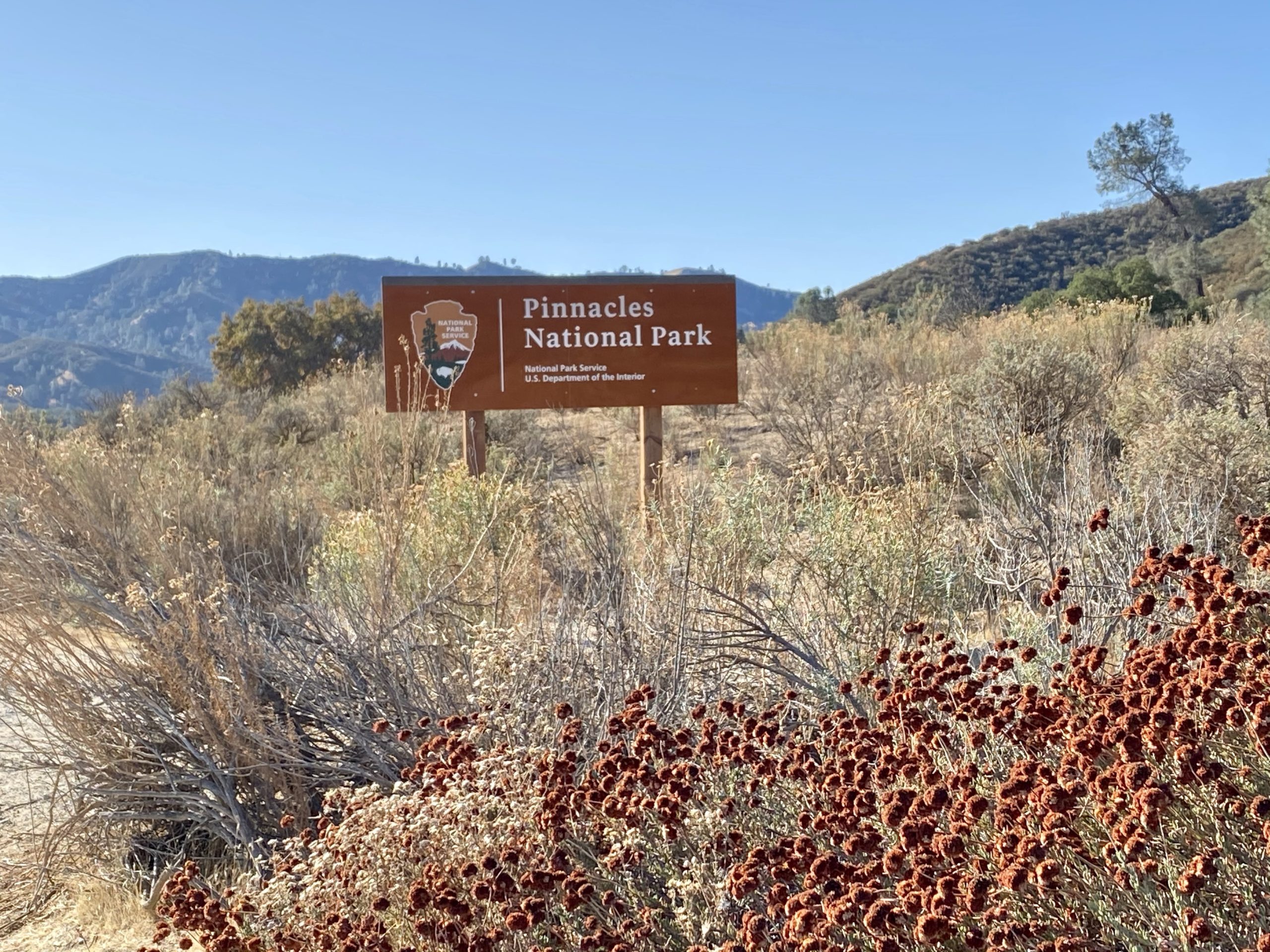 ピナクルズ国立公園 今回は東側をハイキング 徒然なるままに日暮らし カリフォルニア 東京へ